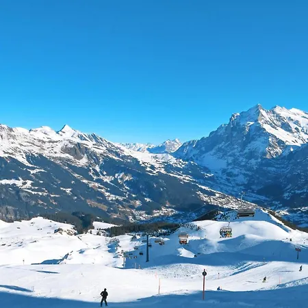 Chalet Auf Dem Vogelstein-3 By Interhome Grindelwald